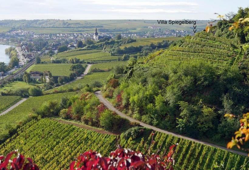 Hotel Villa Spiegelberg 6