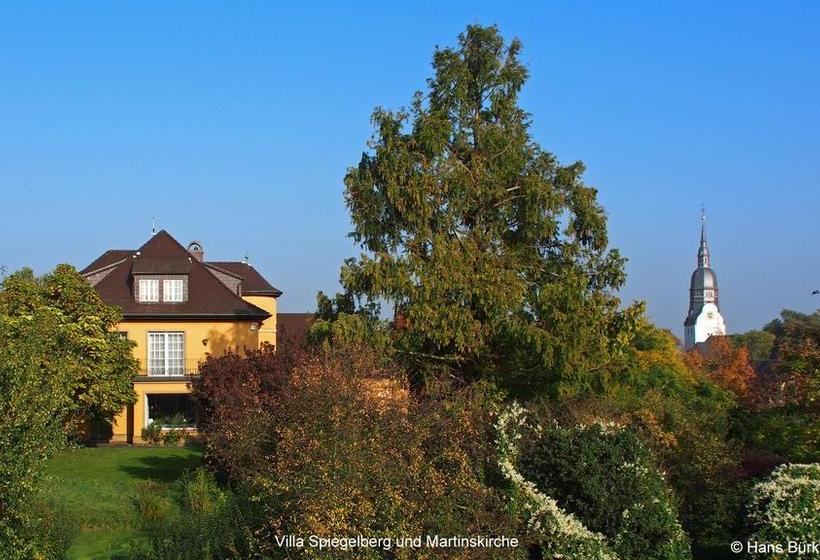 Hotel Villa Spiegelberg 7
