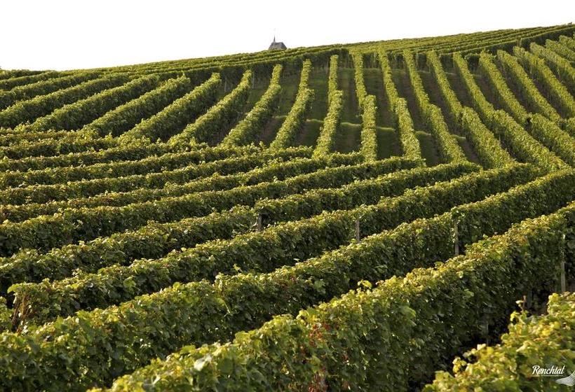 Hotel Restaurant Rebstock 1