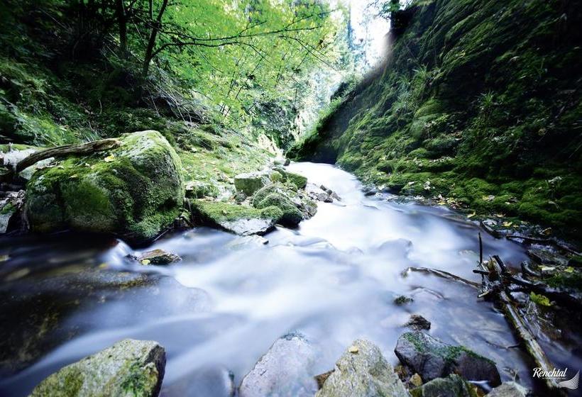 Hotel Restaurant Rebstock 2