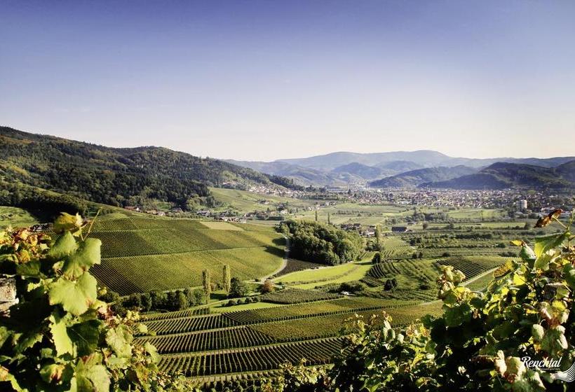 Hotel Restaurant Rebstock 5