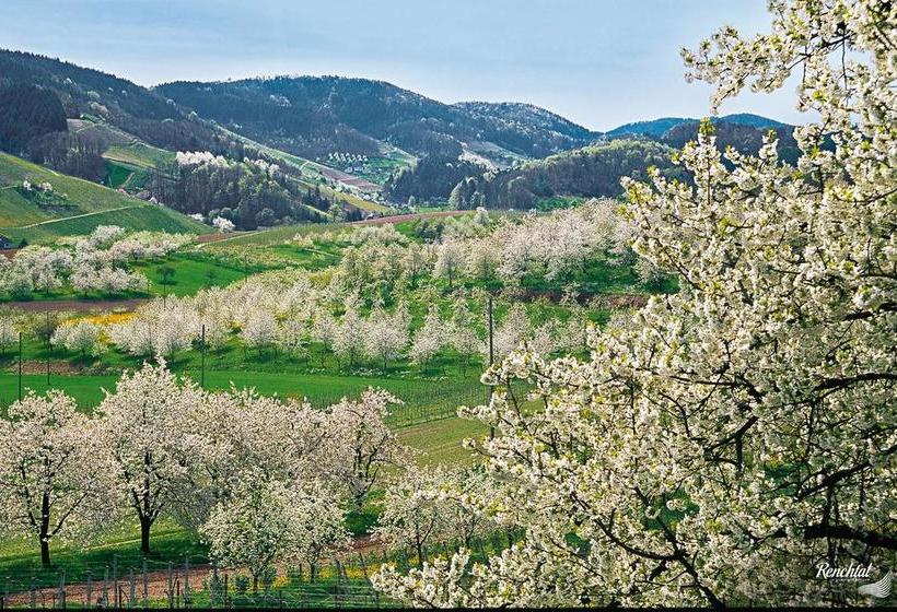 Hotel Restaurant Rebstock 6