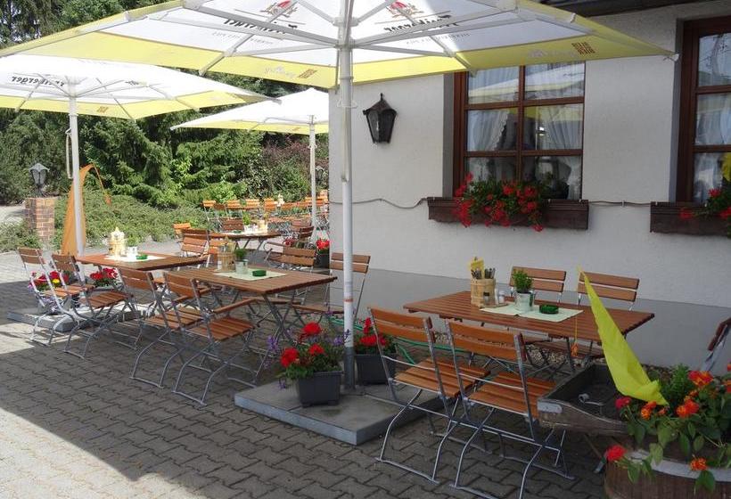 Hotel Almenrausch Sajonia