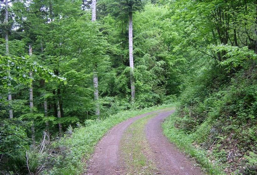 Hotel Gasthof Pension Krone 5