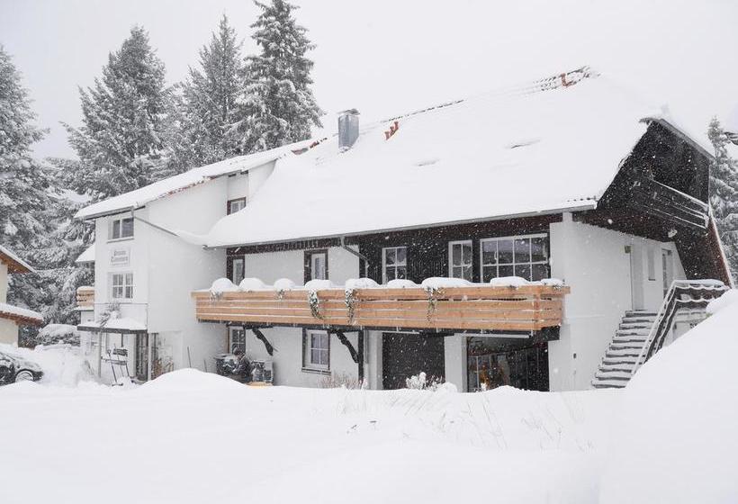 Hotel Pension Tannenheim 11