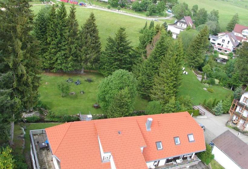 Hotel Pension Tannenheim 4