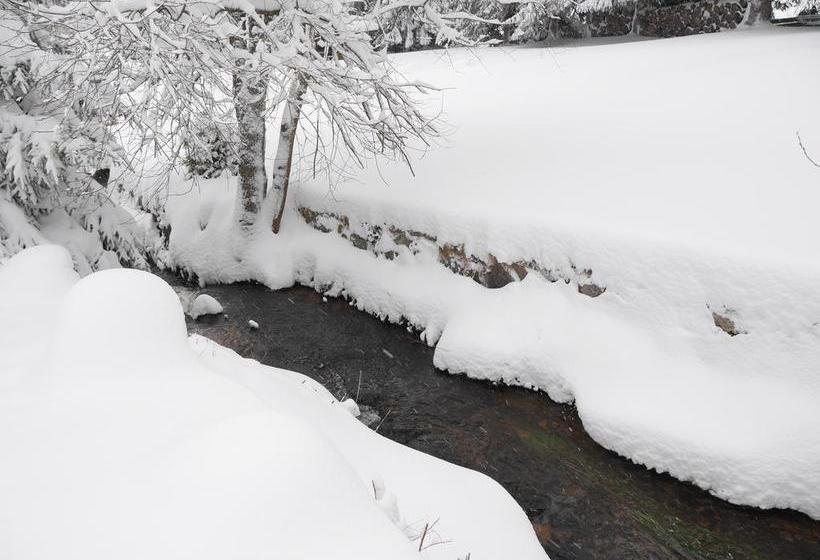 Hotel Pension Tannenheim 7