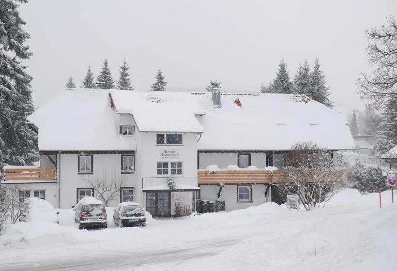 Hotel Pension Tannenheim 8