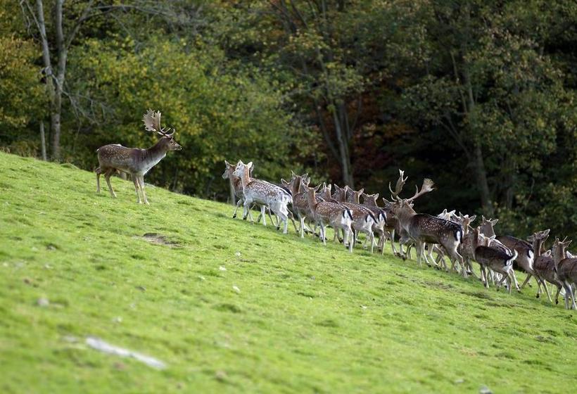 Gasthof Hotel Engel 3