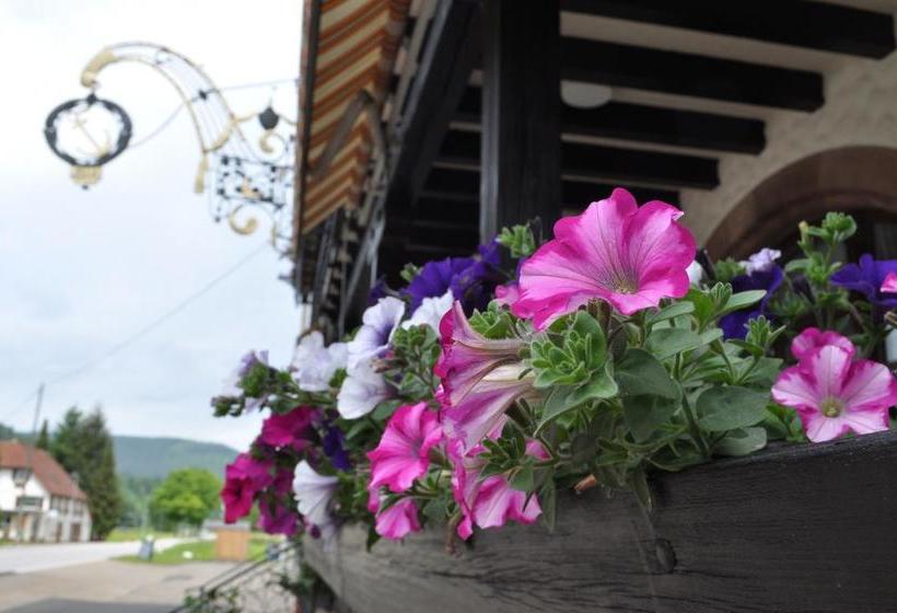 Hotel Gasthof Anker 13