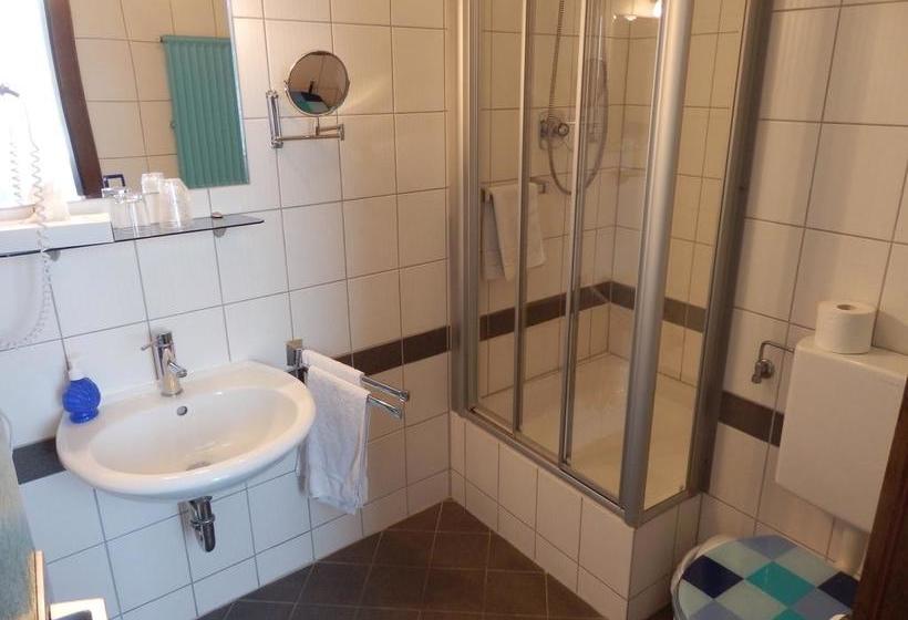 Hotel Rheinischer Hof 5