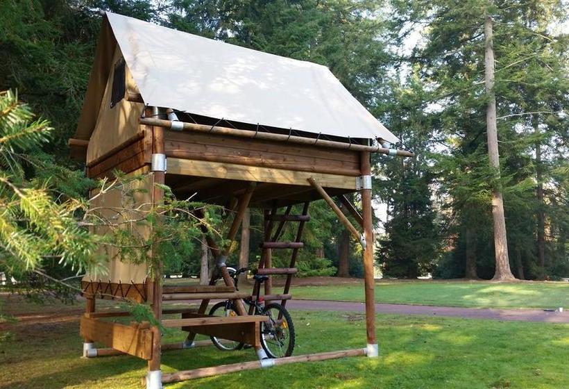 Resort Azur Waldcamping Auwaldsee 2