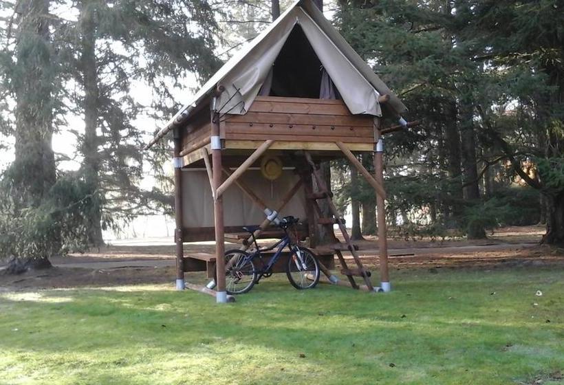 Resort Azur Waldcamping Auwaldsee 4