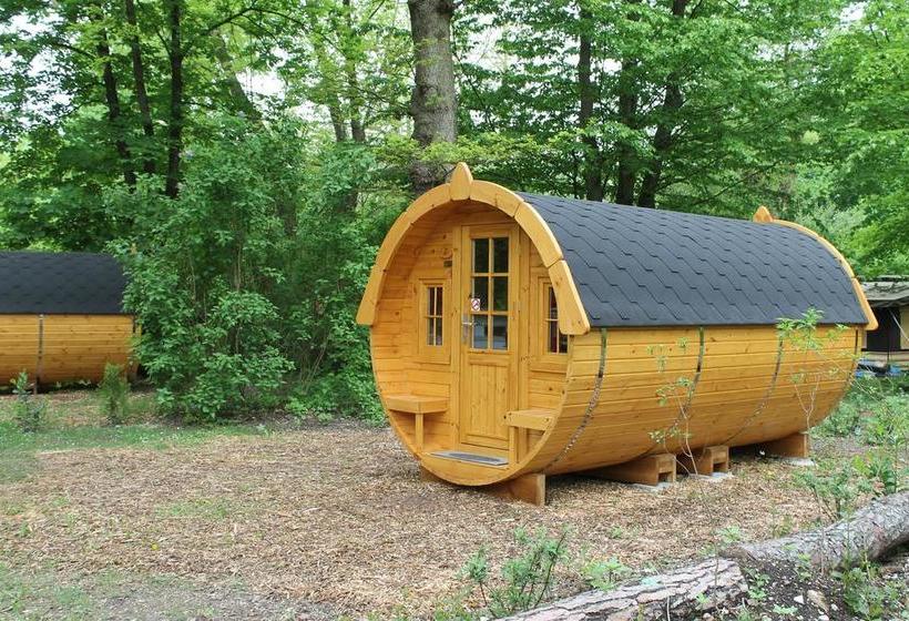 Resort Azur Waldcamping Auwaldsee 7