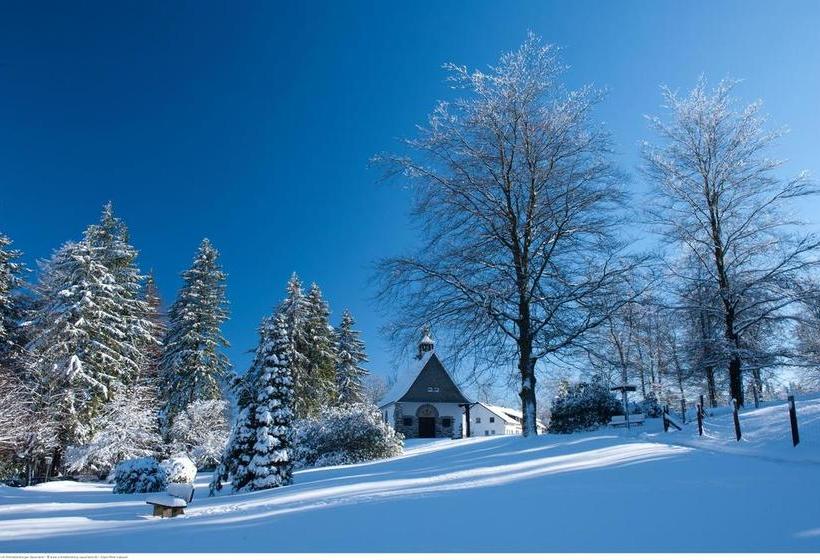 Hotel Schieferhof 15