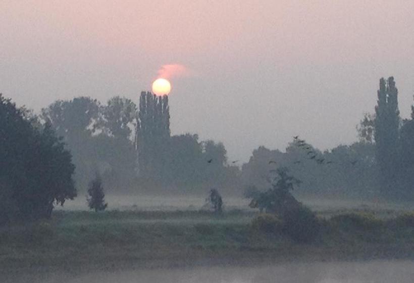 Hotel Pension Villa Else 11