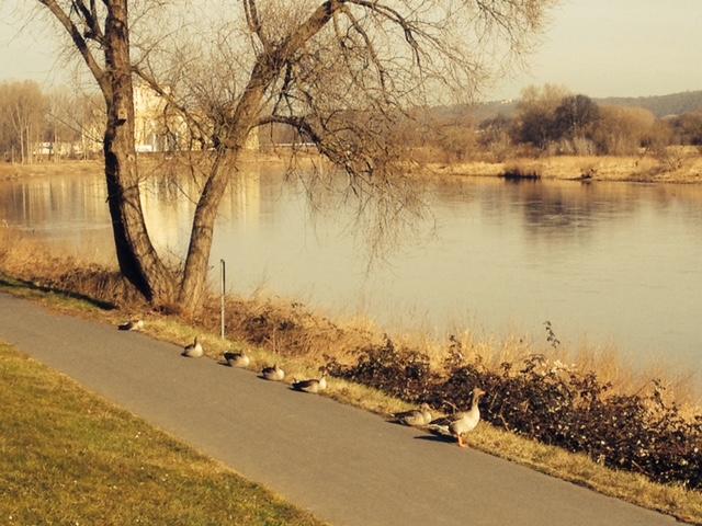 Hotel Pension Villa Else 7