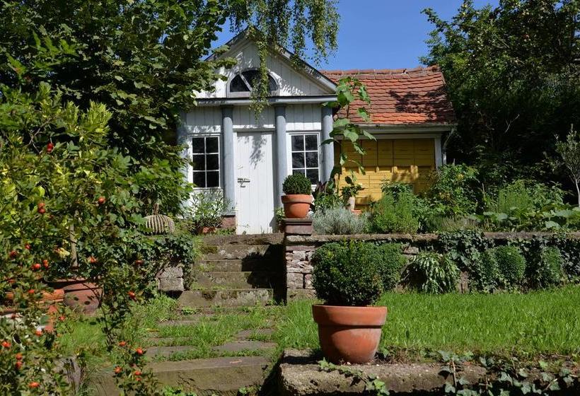 Alte Apotheke Bed & Breakfast 1