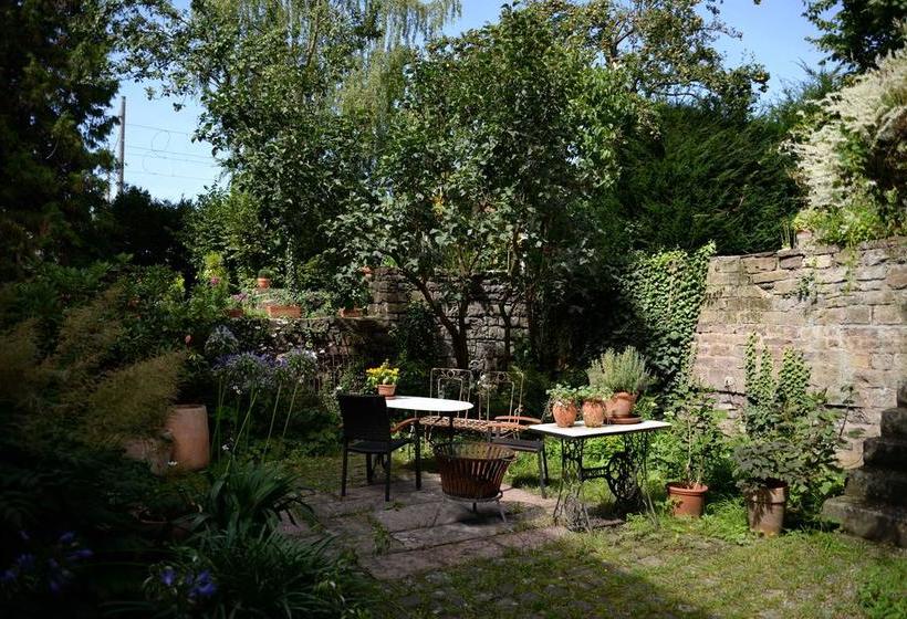 Alte Apotheke Bed & Breakfast 6