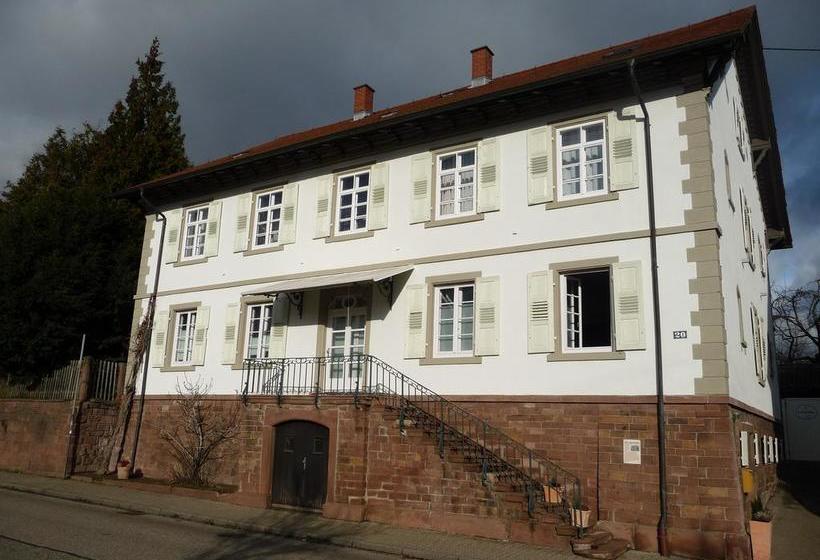 Alte Apotheke Bed & Breakfast 7