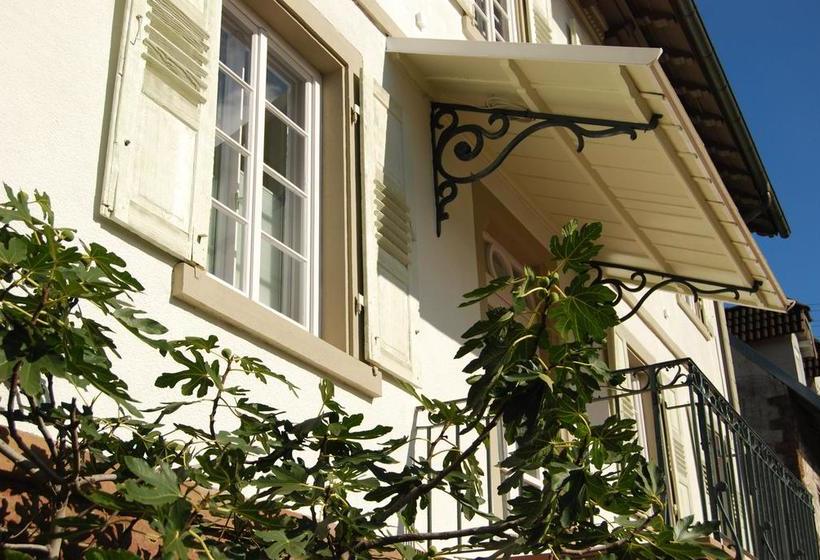 Alte Apotheke Bed & Breakfast 8