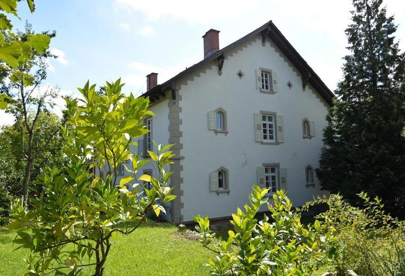 Alte Apotheke Bed & Breakfast 9