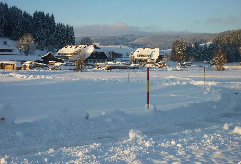 Hotel Zum Löwen Unteres Wirtshaus 8