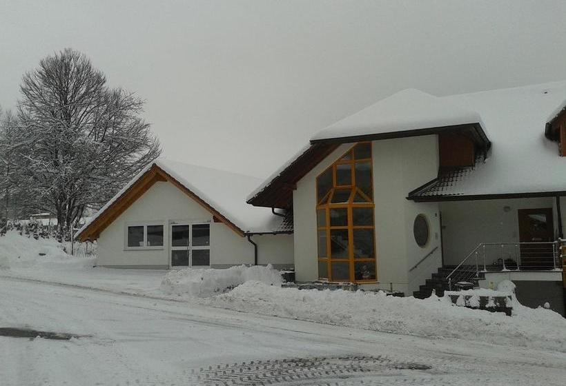 Dztschwarzwaldhotel Garni 8