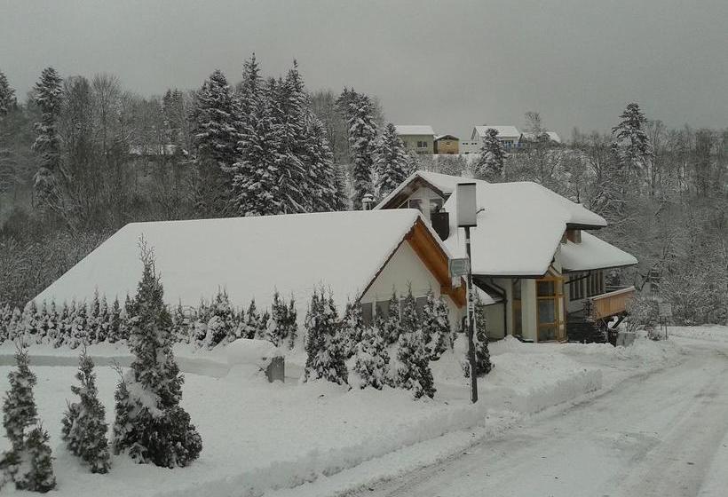 Dztschwarzwaldhotel Garni 9