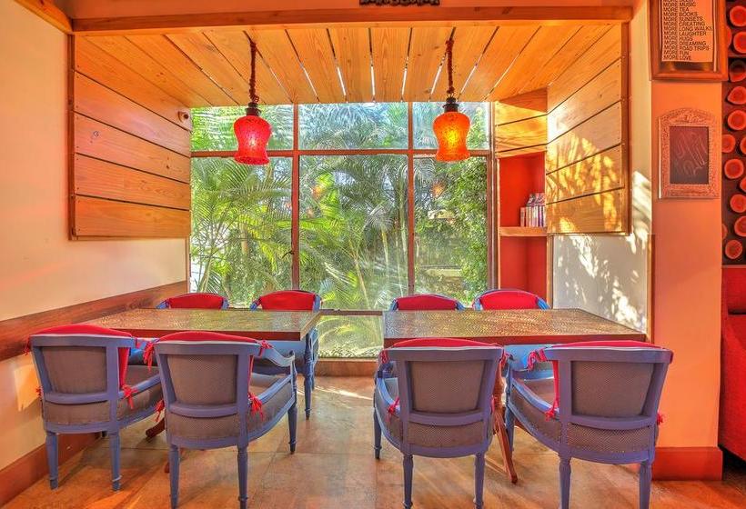 Hotel Ajanta Continental 17