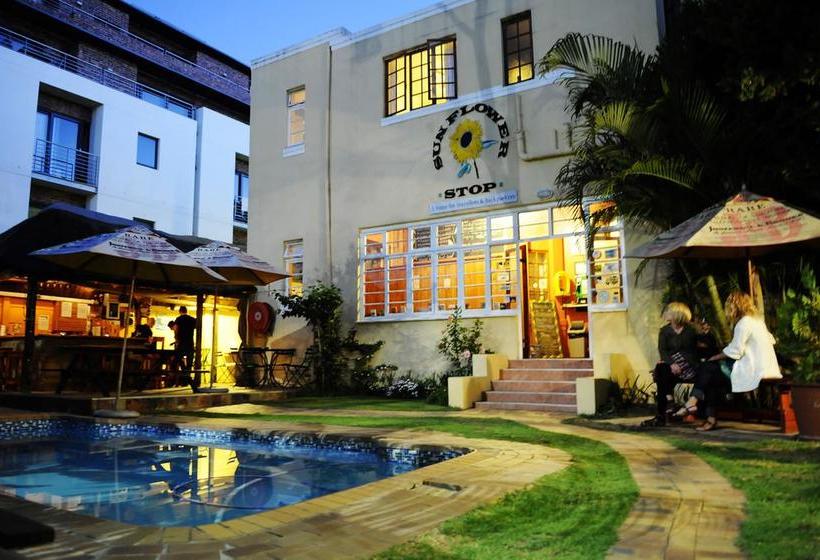 Hotel A Sunflower Stop Backpacker & Hostelling
