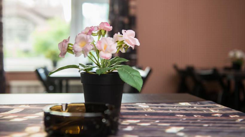 Hostel Green House Tyumen 19