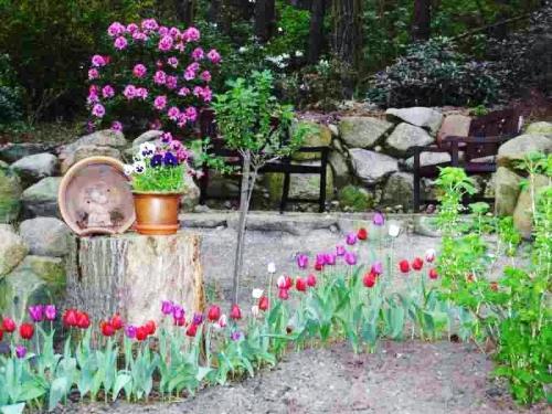 Hotel Tannenspitze 18