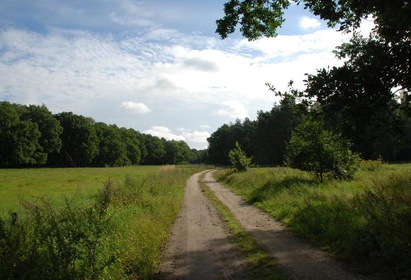 Hotel Tannenspitze 5