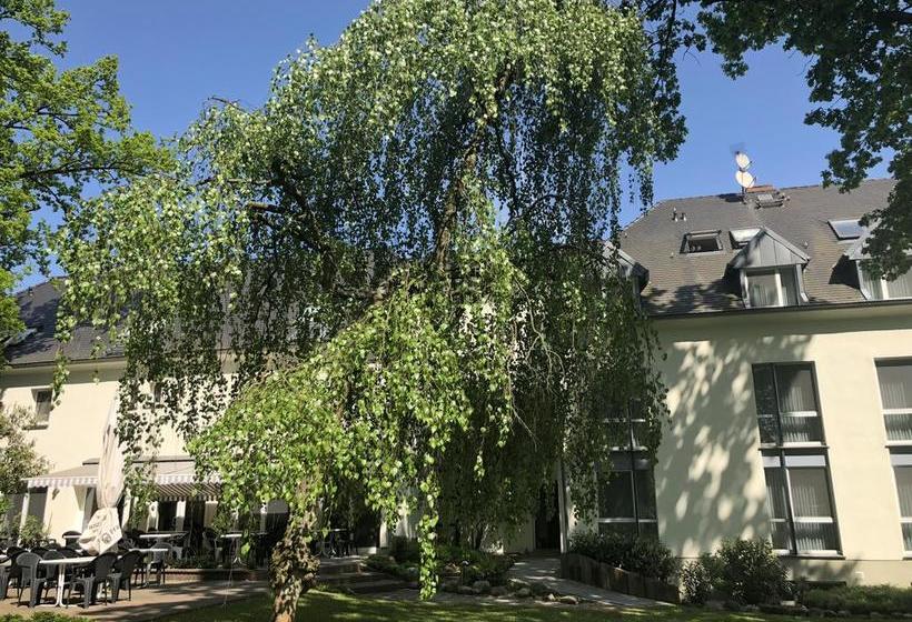 Hotel Luther Birke Wittenberg 1