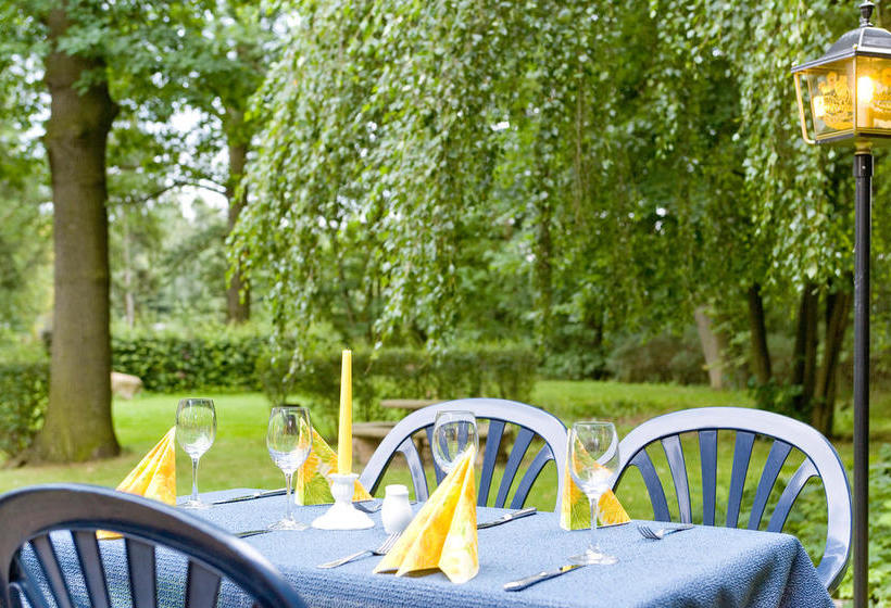 Hotel Luther Birke Wittenberg 10