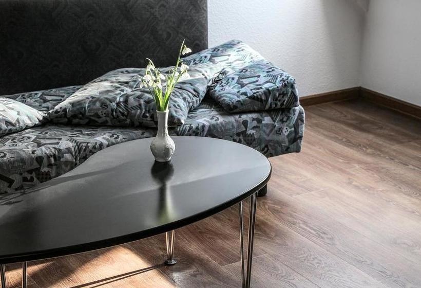 Hotel Luther Birke Wittenberg 12