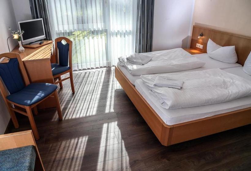 Hotel Luther Birke Wittenberg 13