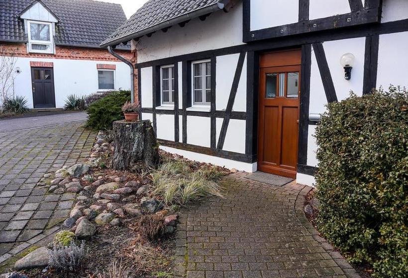 Hotel Luther Birke Wittenberg 14