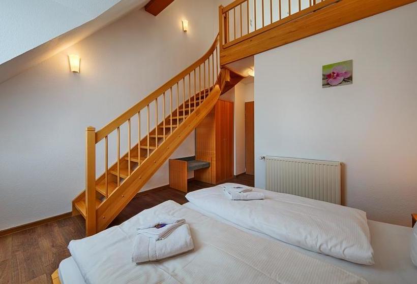 Hotel Luther Birke Wittenberg 2