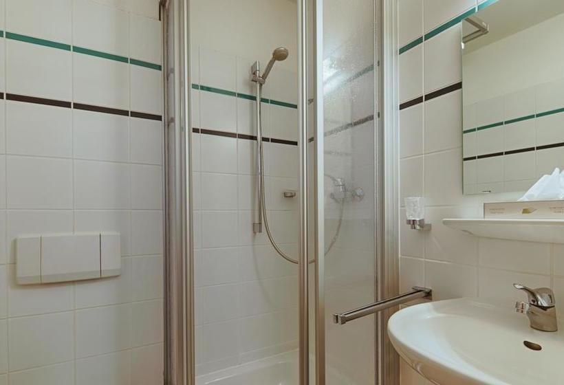 Hotel Luther Birke Wittenberg 3