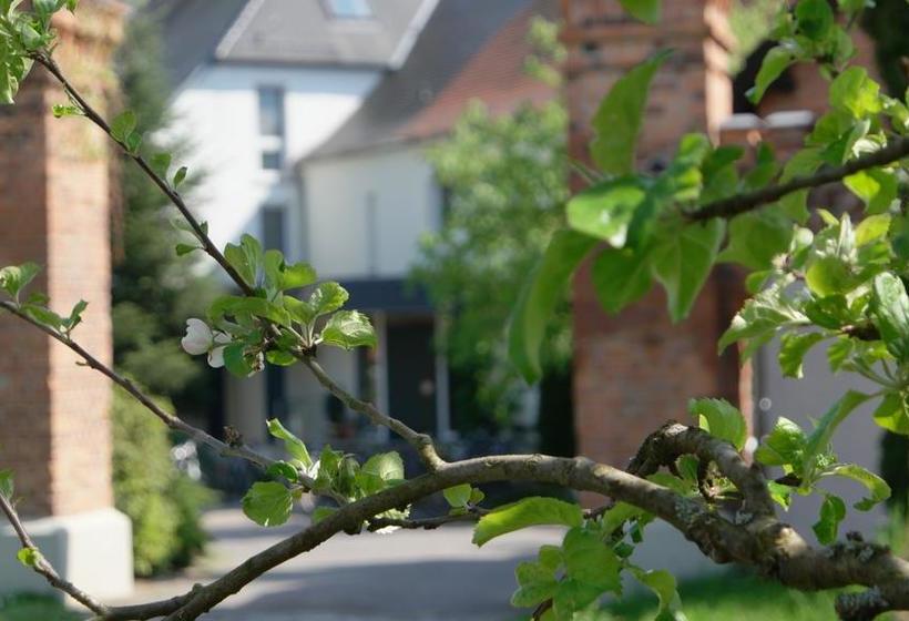 Hotel Luther Birke Wittenberg 4