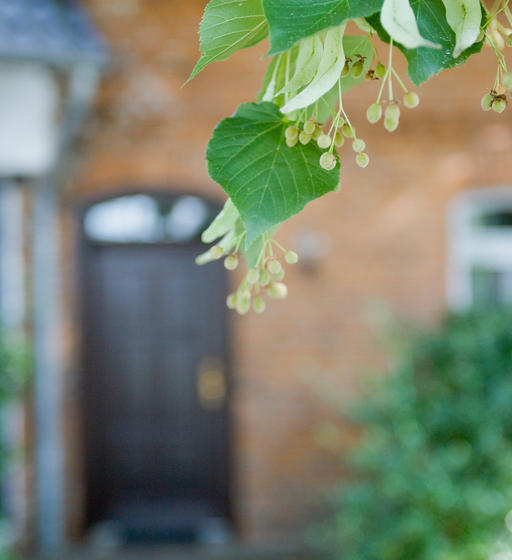 Hotel Luther Birke Wittenberg 7