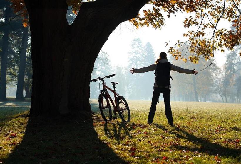 Centrale Hotel & Restaurant 5