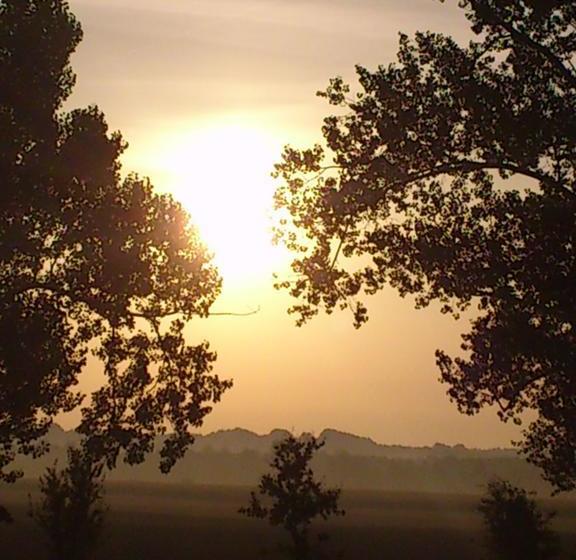 Hotel Farchauer Mühle 4