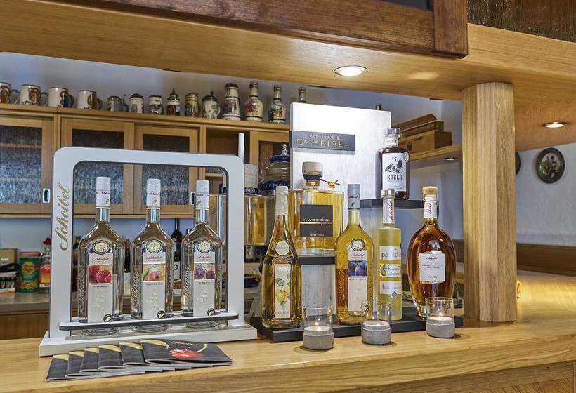 Hotel Elbparadies 10