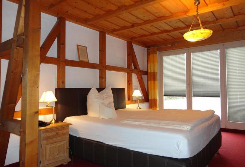 Hotel Antoniushütte 9