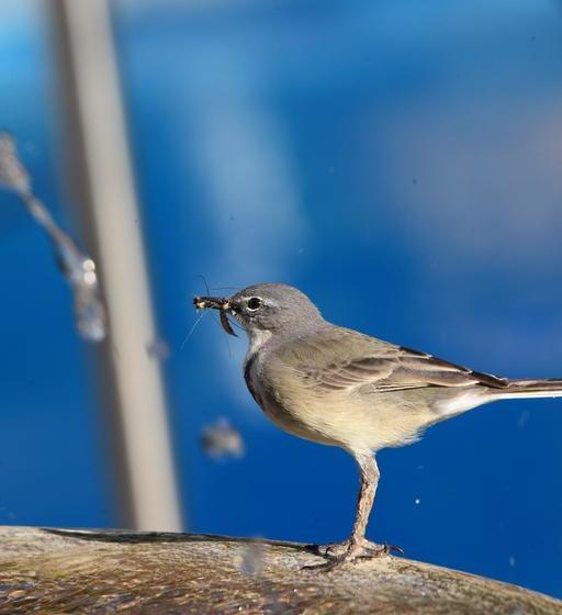 Hotel Cinnamon Botique 6