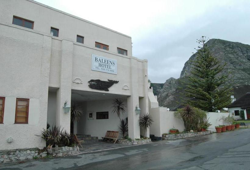 Hotel Baleens Guest House 12