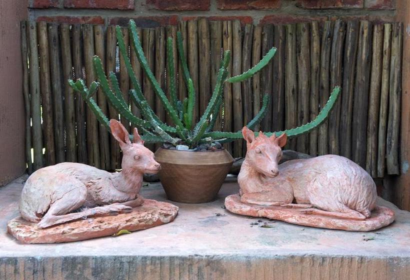 Hotel Treetops Guesthouse 15